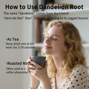 Raiz de Dente-de-Leão Torrada a Preço de Fábrica, Ervas Chinesas Cruas, Raízes de Dente-de-Leão Secas de Grau Alimentício para Chá - Product Image 6