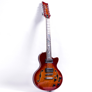 กีตาร์ไฟฟ้า 12 สาย แบบกึ่งฮอลโลว์ 22 เฟรต ตัวกีตาร์ทำจากไม้มะฮอกกานี - Product Image 1