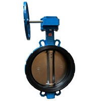 Katup Kupu-kupu Karbon DN150/300