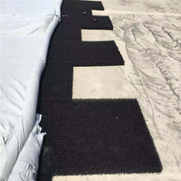Plaque de drainage géotextile 3D en HDPE - Panneau de rétention d'eau bleu pour toiture - Pour projets d'ingénierie civile, barrages et jardins - Échantillon gratuit