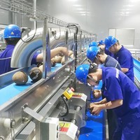 Kokosmelk Productielijn Kokosolie Productielijn Kokosnoot Verwerking Machines