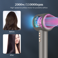 Sèche-cheveux professionnel haute vitesse 110000 tr/min ionique 2000W tout-en-un pour hôtel et usage domestique