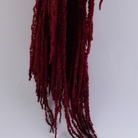 Bunga Awetan Multifungsi Warna Merah Tua Burgundy Amaranthus, Laris Manis, untuk Dekorasi Rumah dan Rangkaian Pernikahan