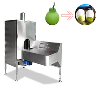 Automatische Fruitschiller Grapefruit Ananas Mango Schilmachine