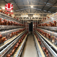 Cage à poules pondeuses automatique de type A, 5 niveaux, avec système d'alimentation, d'abreuvement, de collecte des œufs, de ramassage du fumier, abreuvoir à tétine, en acier galvanisé