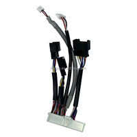 Kabel Harness Konektor Kustom Berkualitas Tinggi dengan Konektor JST Molex