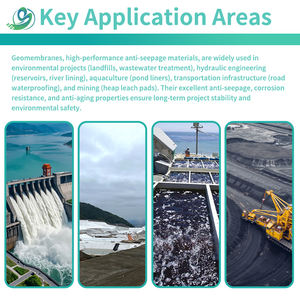 Géomembrane HDPE moderne 100 % vierge <span class=keywords><strong>pour</strong></span> la protection de l'environnement, idéale <span class=keywords><strong>pour</strong></span> les bassins piscicoles et les projets pétroliers/gaziers, prévention des fuites, durée de vie supérieure à 5 ans - Product Image 6