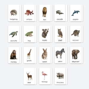 Nuevas Tarjetas de Felicitación Bilingües con 18 Animales, Erizo, <span class=keywords><strong>Koala</strong></span>, etc. Papel estampado en caliente con imágenes reales para educación infantil temprana - Product Image 1