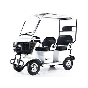 Offre Spéciale 4 roues Scooter électrique de mobilité 60V 800W puissant moteur longue portée ville âgée <span class=keywords><strong>vélo</strong></span> électrique avec toit - Product Image 2