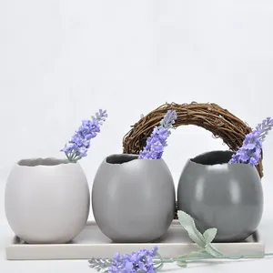 Hot selling eggshell shape color glazed home decor small succulent ceramic plant flower pots with tray