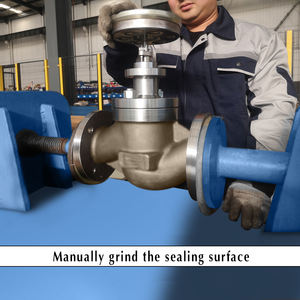 Válvula reguladora criogénica accionada neumáticamente, brida de acero inoxidable con brida, para aplicación de GNL - Product Image 6