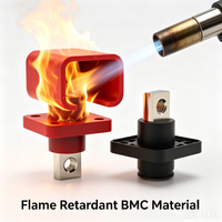 Bloc de jonction de borne de batterie au lithium traversant le panneau 80A 100A 200A 300A 400A Connecteur solaire ESS à montage sur panneau Terminal d'alimentation