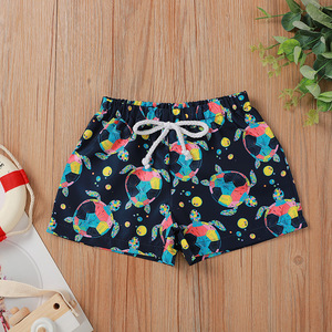 2022 New Summer Toddler <b>Boy</b> Fashion Print Lace <b>up</b> Swim Trunks Mixed Color 2-5 Years - Product Image 6