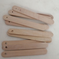 Bâtonnets de crème glacée en bois de bouleau perforés NEWELL, écologiques, assemblés à la main, pour sucettes glacées maison