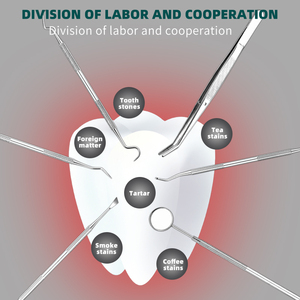 6 Dụng Cụ Cạo Răng Bằng Thép Không Gỉ/Dụng Cụ Làm Sạch Răng Và Dụng Cụ Răng Miệng - Product Image 2