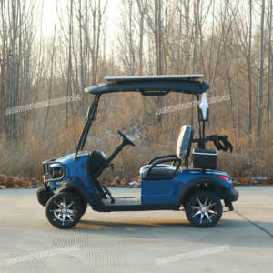 彩虹豪华电动定制2座高尔夫球车，带5kw电机和48v电池，用于俱乐部和高尔夫球场 - Product Image 5