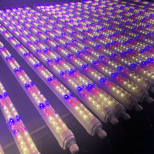 Lumière LED de culture d'algues pour Nannochloropsis Oculata Vulgaris Chlorella Vulgaris - Product Image 6