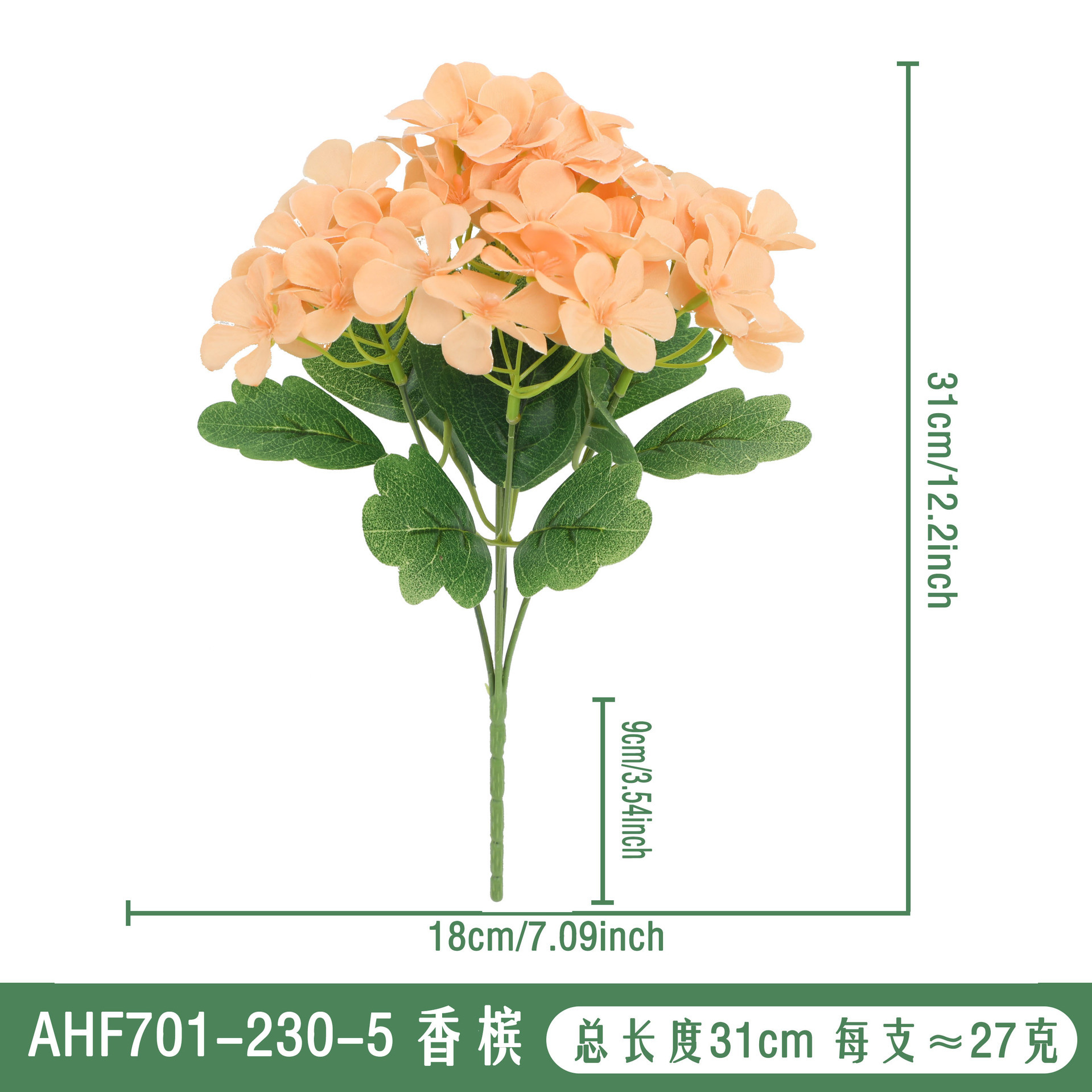 Champagne - AHF701-230-5
