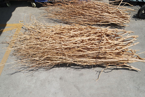 Natuurlijke Vissentank Hout Aquarium Drijfhout Gewei Zoals Tak - Product Image 2