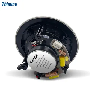 Thinuna GS-5L Новое поступление, с фиксированным сопротивлением, 5 дюймов, высокая точность, постоянное сопротивление, магнитный потолочный динамик