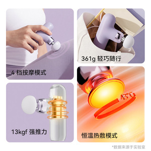 Home Electric Fascia Gun Massager 800mAh 4 Levels Brushless Motor USB Rechargeable Massage Gun With 4 Heads - Product Image 4
