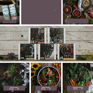 Kit di coltivazione da cucina fai da te per interni lattuga verde pianta per bambini erba di avviamento da giardino Kit di strumenti per spinaci Non ogm cavolo rosso lattuga - Product Image 5