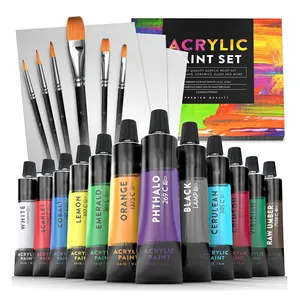 Art Set Schilderen Voor Beginners Of Professionalswith 6 Borstels En 3 Verf Doeken 12 Niet-giftige Acrylverf Kleur