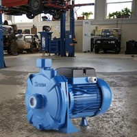 TECHNIC POWER Pompe à eau électrique pour irrigation de surface 1HP SCM100 0.75KW auto-amorçante