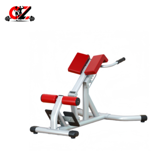 CZFIT Banc de musculation multifonction réglable pour extensions de hanche/chaise romaine et extensions dorsales pour la musculation - Product Image 1