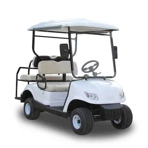 2 4 6 tempat duduk elektrik kereta golf Harga Murah mobil buggy untuk dijual klub Cina prezzi empat tertutup daya Kereta golf