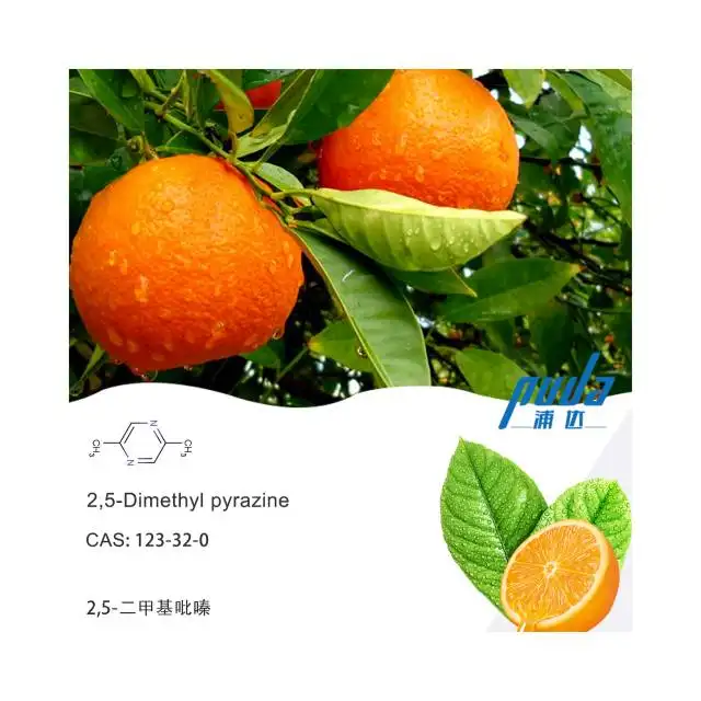 2 5-Dimethyl Pyrazine CAS 123-32-0 FEMA 3272 Aromtics Aroma Aroma Rasa Bahan Kimia Makanan