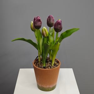 Fleur de tulipe artificielle de style coréen, pot en plastique, décoration extérieure et intérieure, accessoire de photographie, best-seller - Product Image 1