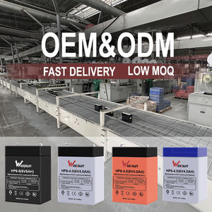 LEDトーチキッズカーライト用<span class=keywords><strong>6v</strong></span> 4ah <span class=keywords><strong>6v</strong></span> <span class=keywords><strong>4</strong></span>.<span class=keywords><strong>5ah</strong></span> 6v5ah小型充電式密閉型鉛蓄電池<span class=keywords><strong>6v</strong></span> - Product Image 4