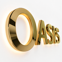Lettres en relief 3D en aluminium avec finition miroir dorée rétroéclairée, signalétique personnalisée pour les entreprises, les devantures de magasins, les logos muraux