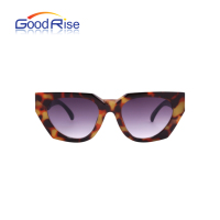 Lunettes de soleil personnalisées de haute qualité Oeil de chat Uv400 Lunettes de soleil Hip Hop à monture épaisse Lunettes de soleil de marque de grande taille pour dames