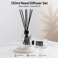 Diffuseur à roseaux en vrac 120ml en gros Ensembles de diffuseurs à roseaux de parfum avec huile parfumée Décoration intérieure