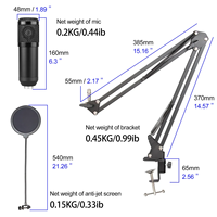 Microphone de Jeu Professionnel Biner A11 Tendance sur TikTok pour PC, Microphone USB à Condensateur pour Enregistrement en Studio