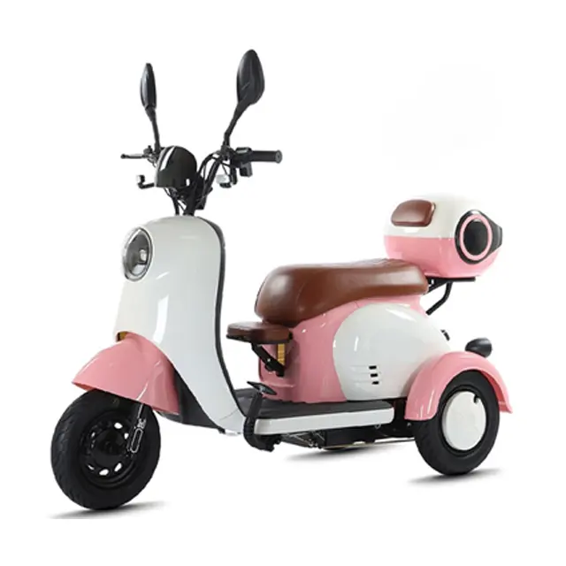 Electric tricycle Elderly scooter electric bike hot sell adult electric bicycle