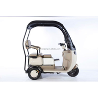 Tricycle électrique à trois roues 800w personnalisé moto pour adultes corps ouvert 60v tension acier EEC/DOT passager