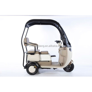 <span class=keywords><strong>Tricycle</strong></span> électrique à trois roues 800w personnalisé <span class=keywords><strong>moto</strong></span> pour adultes corps ouvert 60v tension acier EEC/DOT passager - Product Image 5