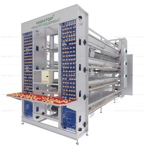 Cage de poulailler entièrement automatique Cage de batterie de type H pour animaux Système de cage de volaille pondeuse pour oeufs et poulets pour l'Algérie - Product Image 1