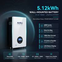 Batterie solaire LiFePO4 5kWh 5.12kWh 51.2V 100Ah, onduleur hybride 48V, système de stockage d'énergie domestique CAN Split, alimentation de secours hors réseau ESS