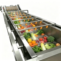 304 roestvrijstalen luchtbel fruit- en groentewasmachine voor het reinigen van selderij, gemberwortel en groenten in bulk