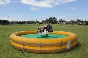 الصين المهنية نفخ redoe الثور ، نفخ ثور روديو ميكانيكي للبالغين ، نفخ مصارعة الثيران للبيع - Product Image 5