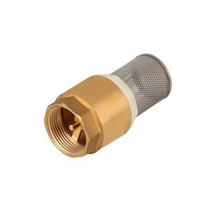 Van Kiểm Tra Lò Xo Bằng Đồng Thau Với Bộ Lọc SS Van Chân Bằng Đồng 1/2 "-4" - Product Image 5