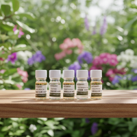 Recharge d'huile aromatique pure naturelle pour diffuseur sans eau 5ml – Bouteille écologique pour une intensification de parfum longue durée et personnalisable