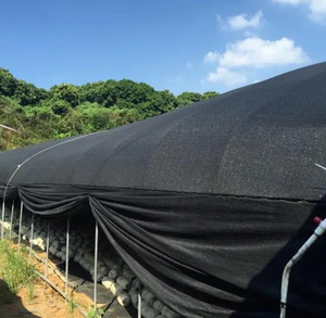 Filet d'ombrage noir pour serres agricoles, protection solaire pour toitures de pépinières, maille extérieure pour plantes agricoles - Product Image 4
