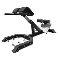 Machine d'extension dorsale réglable VIGFIT, entraînement de force professionnel, pliable, chaise romaine à 45 degrés, entraîneur dorsal