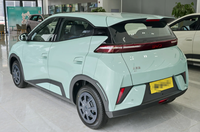 Voiture électrique compacte BYD Seagull, véhicule électrique pur avec fonction V2L, haute vitesse, pour usage domestique et urbain, fournie directement par l'usine