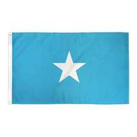 Fabricant professionnel de drapeau du Congo de haute qualité avec l'impression et la finition expertes de tous les drapeaux nationaux menant l'usine